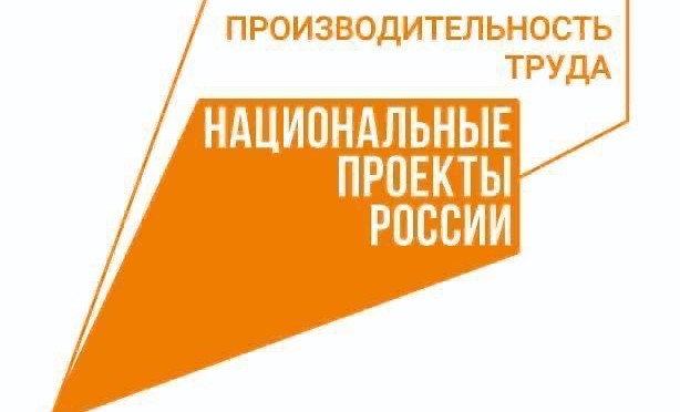 Нацпроект «Производительность труда» может охватить порядка 12 тысяч предприятий при продлении