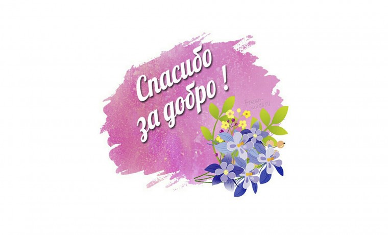 Грозный присоединился к акции «Спасибо за добро!» в День семьи, любви и верности