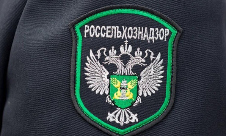 Россельхознадзор по ЧР выявил 7 поддельных протоколов испытаний при декларировании зерна