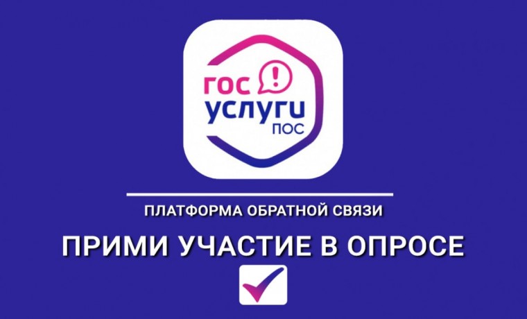 Россияне выбирают меры поддержки семей с детьми
