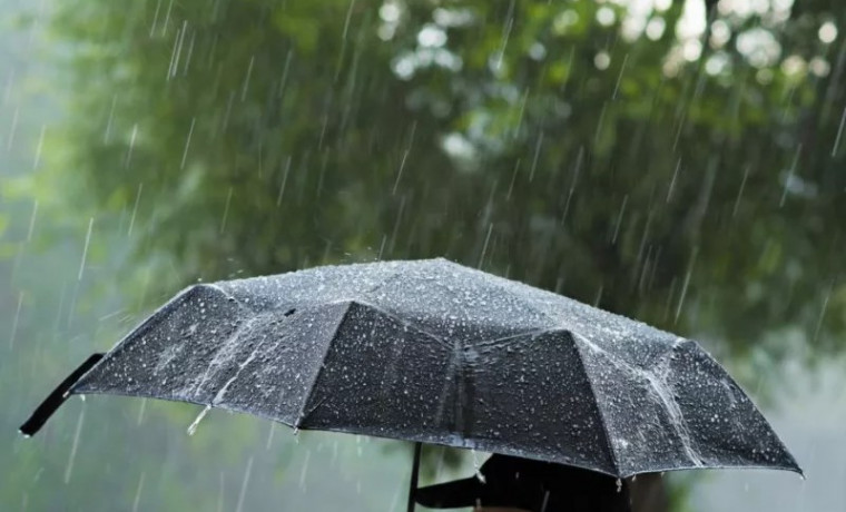 В ЧР ожидаются дожди со шквалистым ветром