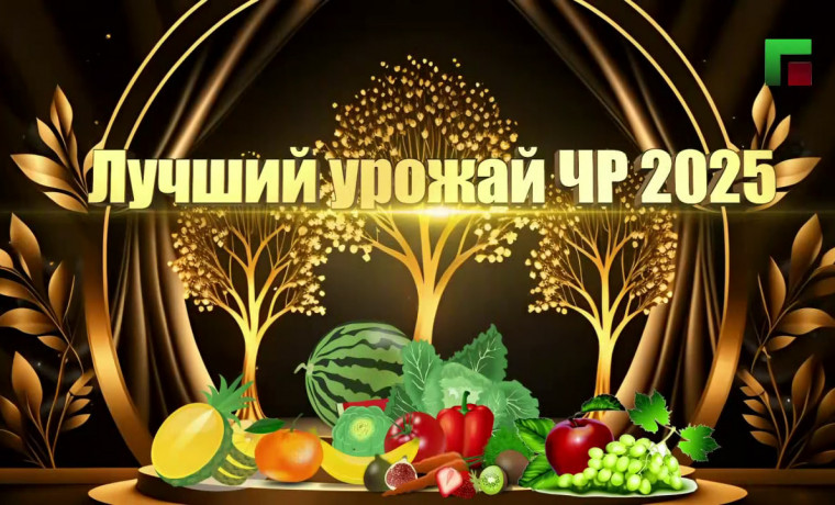 ЧГТРК "Грозный" совместно с Минсельхоз ЧР запускает ежегодный конкурс "Лучший урожай ЧР"