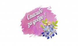 Грозный присоединился к акции «Спасибо за добро!» в День семьи, любви и верности