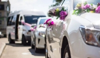 Чиновники поддержали идею ГИБДД Чечни о регулировании свадебных кортежей