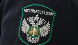 Россельхознадзор выявил нарушения порядка оформления карантинных сертификатов у двух юридических лиц