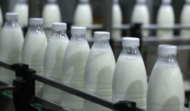 Инспекторы Россельхознадзора зафиксировали массовые нарушения в компоненте «Меркурий»| грозный, чгтрк