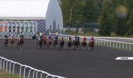 Жеребцы «Ахмата» завоевали призовые места в конноспортивном состязании в Казани