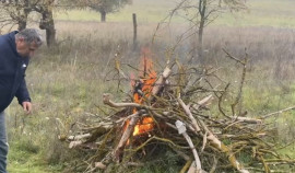 Масштабный субботник прошел в Шелковском районе