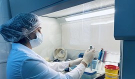Экспортный контроль подтвердил безопасность зерновой продукции из Чеченской Республики