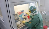 "Вектор" разработал вакцину против коронавируса в виде капель для носа 