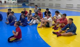 В Шали состоялся мастер-класс по самбо для начинающих спортсменов