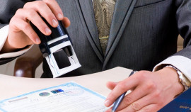 Нулевой налог для бизнеса: Как новым ИП получить льготу на УСН и патенте