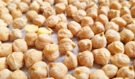 Россельхознадзор обеспечил экспорт 432 тонн зернобобовых из ЧР в Афганистан и Ирак