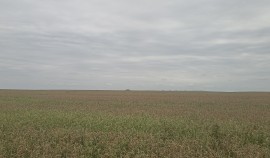Россельхознадзор проверил более 6 тысяч гектаров земель ООО «Бадимо» в Чеченской Республике