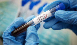 Пять дней подряд в России регистрируют более 800 смертей из-за коронавируса в сутки