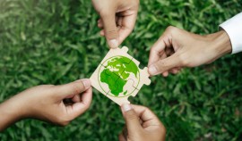 Более 1 млн школьников приняли участие в онлайн-олимпиаде по экологии