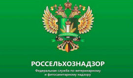 Россельхознадзор проверил соблюдение законодательства в чеченской агрофирме по содержанию лошадей