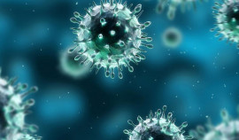 В ЧР за последние сутки выявлено 53 случая коронавируса