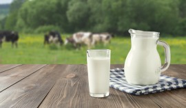 РСХБ: Российские аграрии предпочитают производство молока и зерновых