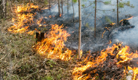 В ряде районов ЧР сохраняется высокая пожароопасность