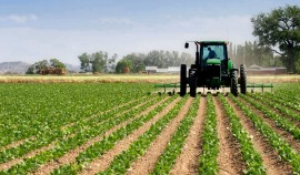 Правительство РФ утвердило порядок ведения реестра земель сельскохозназначения
