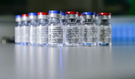 Россия обсуждает с Великобританией признание сертификатов о вакцинации от коронавируса