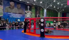 В Грозном состоялся турнир по ММА памяти Абушейха Висмурадова