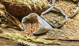 Россельхознадзор выявил 11 случаев недостоверного декларирования зерновой продукции в ЧР