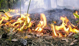 ЦГМС по ЧР предупреждает о высокой пожароопасности в ряде районов