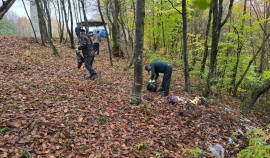 В Урус-Мартановском районе прошла экологическая акция «Чистый лес»