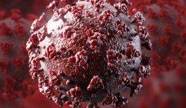 Эпидемиолог: Достигнуть стабильного снижения заболеваемости COVID-19 по всей России можно только сообща