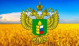 Россия поставила рекорд по поставкам продовольствия за рубеж в 2020 году
