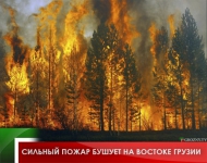 Сильный пожар бушует на Востоке Грузии