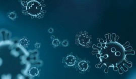 В ЧР выявлено 4 случая заражения COVID-19