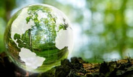 В Курчалоевском районе прошла экологическая акция «Чистая планета — будущее детей»