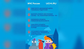 Порядка 2 млн детей проверили свои знания о безопасности