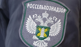 В ЧР Россельхознадзор провел инспекцию из-за непогашенных сертификатов в ФГИС «Аргус-Фито»