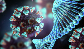 За сутки в России выздоровели после COVID-19 111 756 человек