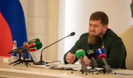 Рамзан Кадыров рассказал на какой стадии находится вопрос выведения чеченской породы лошадей