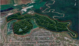 На Петропавловском шоссе планируется благоустройство лесопарка площадью 212 гектаров