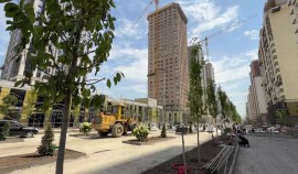 На второй линии нового района Путина в Грозном готовят основания для тротуаров и озеленения| грозный, чгтрк