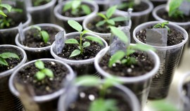 В селе Алхан-Кала прошло мероприятие, посвященное Красной книге