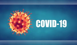 В России за сутки выявили 19 660 новых случаев заражения COVID-19