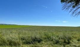 В Грозненском районе выявлено нарушение земельного законодательства на участке 48 га