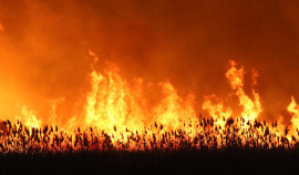 Росгидромет предупреждает: в Чеченской Республике ожидается высокая пожароопасность