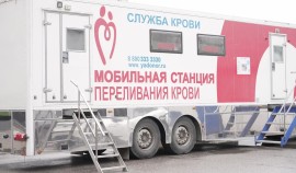 Студенты ГГНТУ приняли участие в донорской акции в рамках проекта «Код донора. Единство»