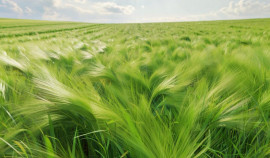 Стартует креативный конкурс «Лесной тайм» в рамках акции «Сохраним лес»