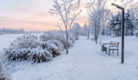 На Всероссийский фотоконкурс «Единой России» о Народной программе поступило почти 250 работ