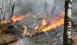 Высокая пожароопасность ожидается в ряде районов Чеченской Республики