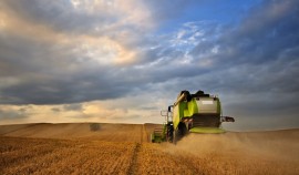 С 1 марта в России повысится экспортная пошлина на пшеницу